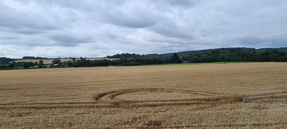 A field